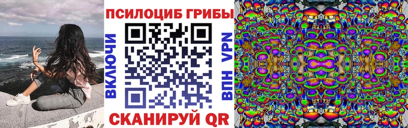 площадка Telegram  Липецк  Галлюциногенные грибы Cubensis 