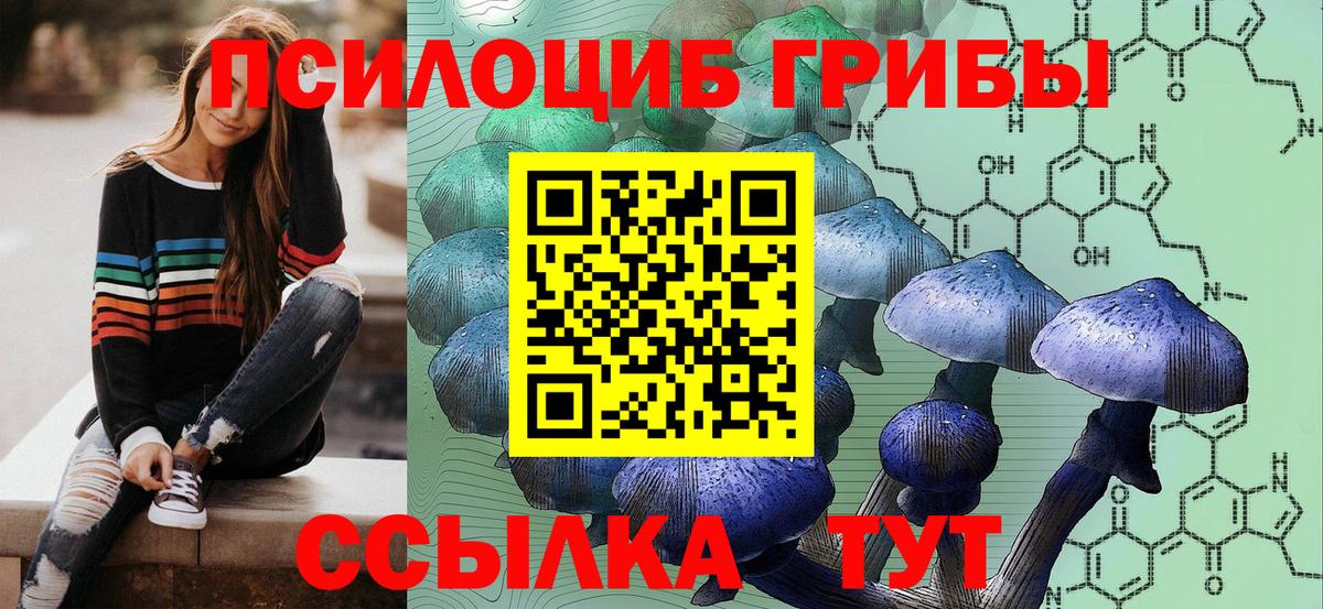 Липецк  где продают   Псилоцибиновые грибы ЛСД  Вход с VPN  Псилоцибиновые грибы Magic Shrooms 